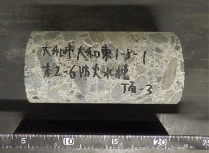 採取コア